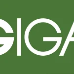 Is Giga Tires Legit and Trustworthy?