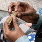 Is Cannabis Legal in New York?
