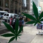 Is Medical Marijuana Legal in New York?