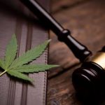 Is THC Legal in New York?