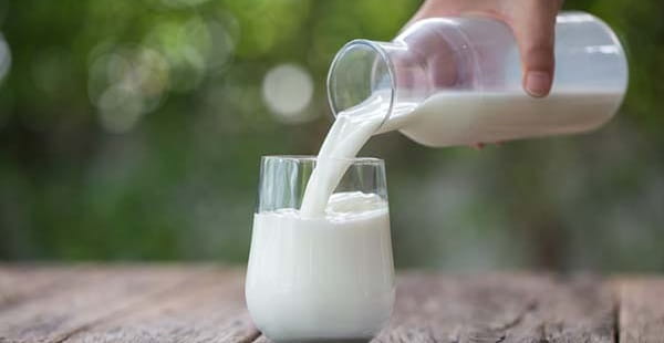 Raw Milk
