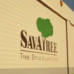 Top 5 Tree Removal Companies in New York